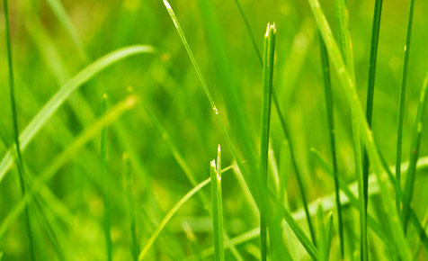 网页版呼叫中心